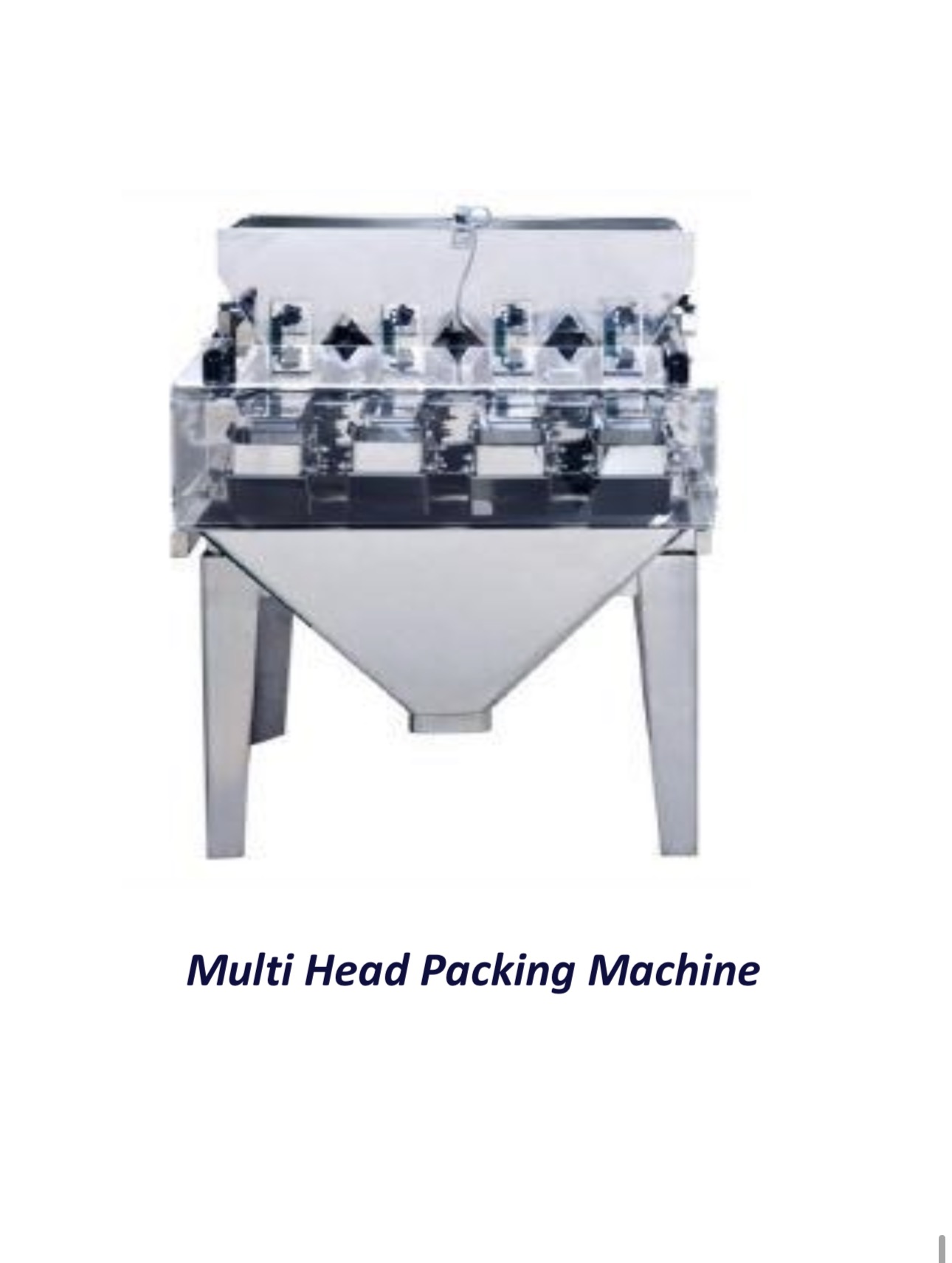 Multi Head Packing Machine