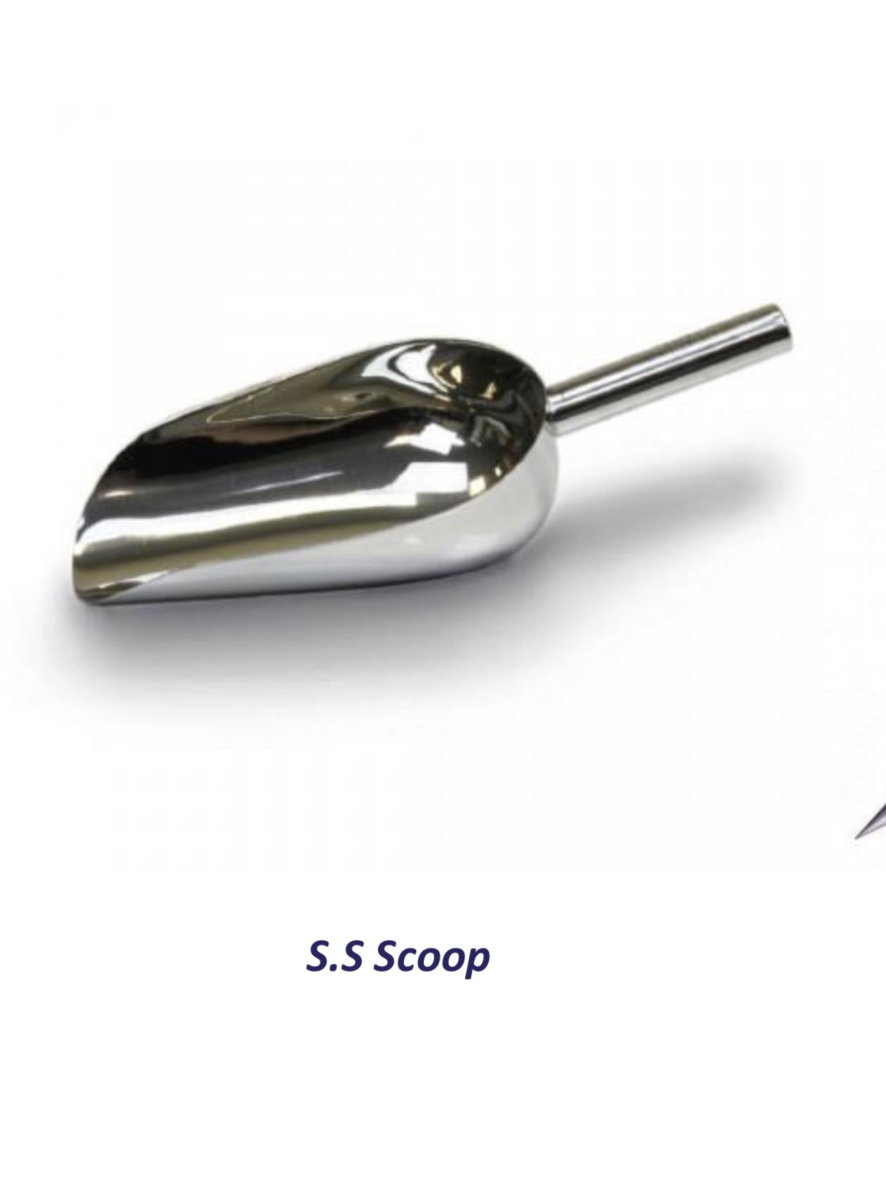 S.S Scoop